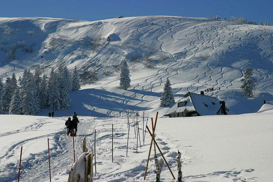 Wanderung zur Baldenweger Hütte im Winter, Feldberg