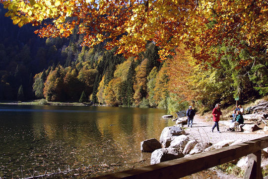 Spaziergänger am Feldsee in Feldberg im Herbst